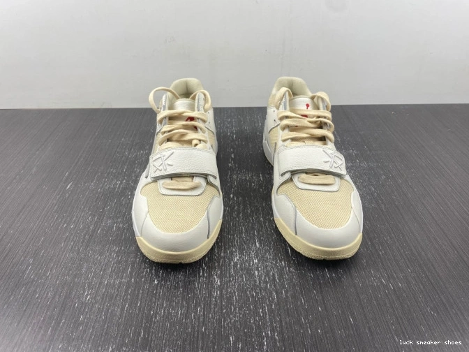 Cheap LUCY CHECK X JORDAN TRAVIS SCOTT THE FZ8117-003 CUT 0720